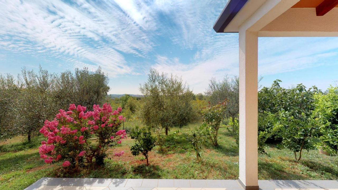 Apartments Goga Umag Exterior foto